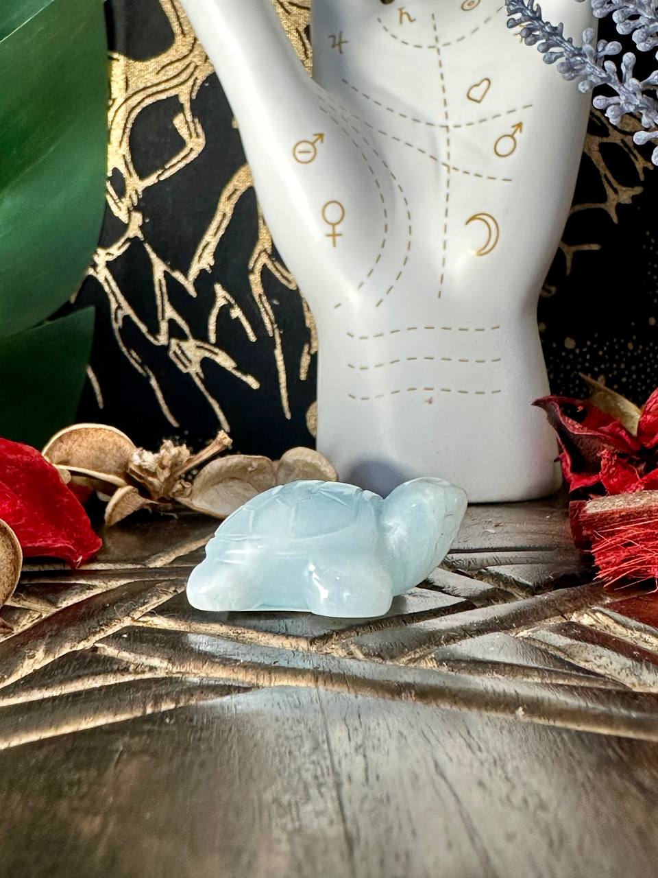 Larimar Turtle #6