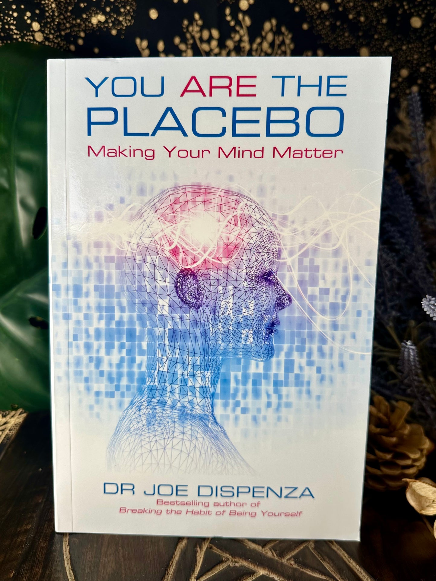 You Are The Placebo By Dr Joe Dispenza