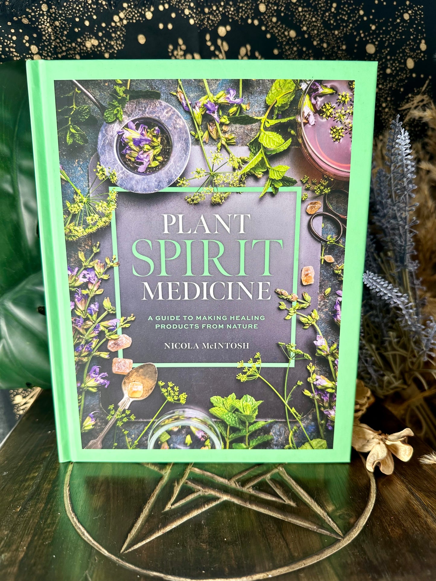 Plant Spirit Medicine By Nicola McIntosh