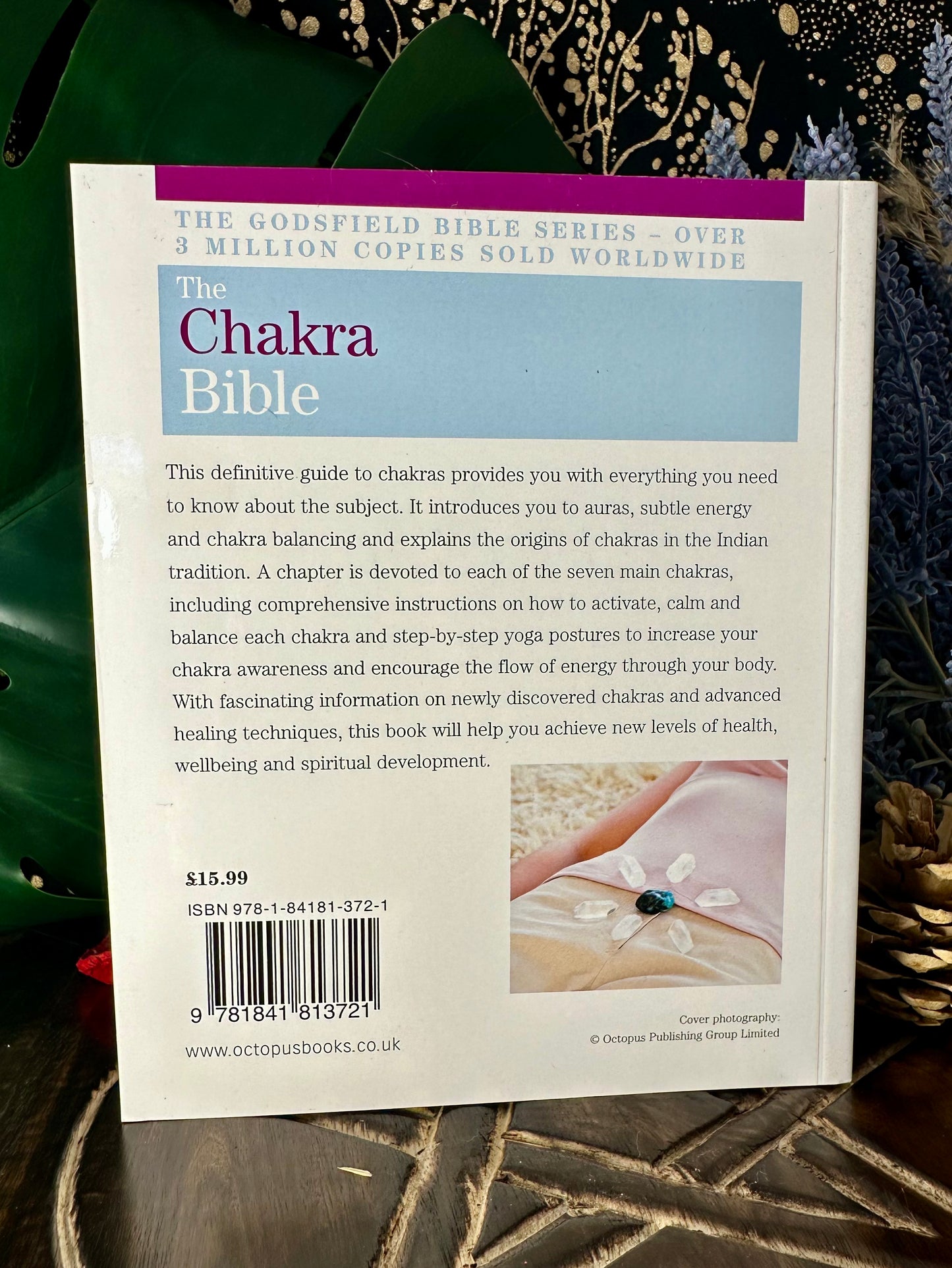 The Chakra Bible By Patricia Mercier