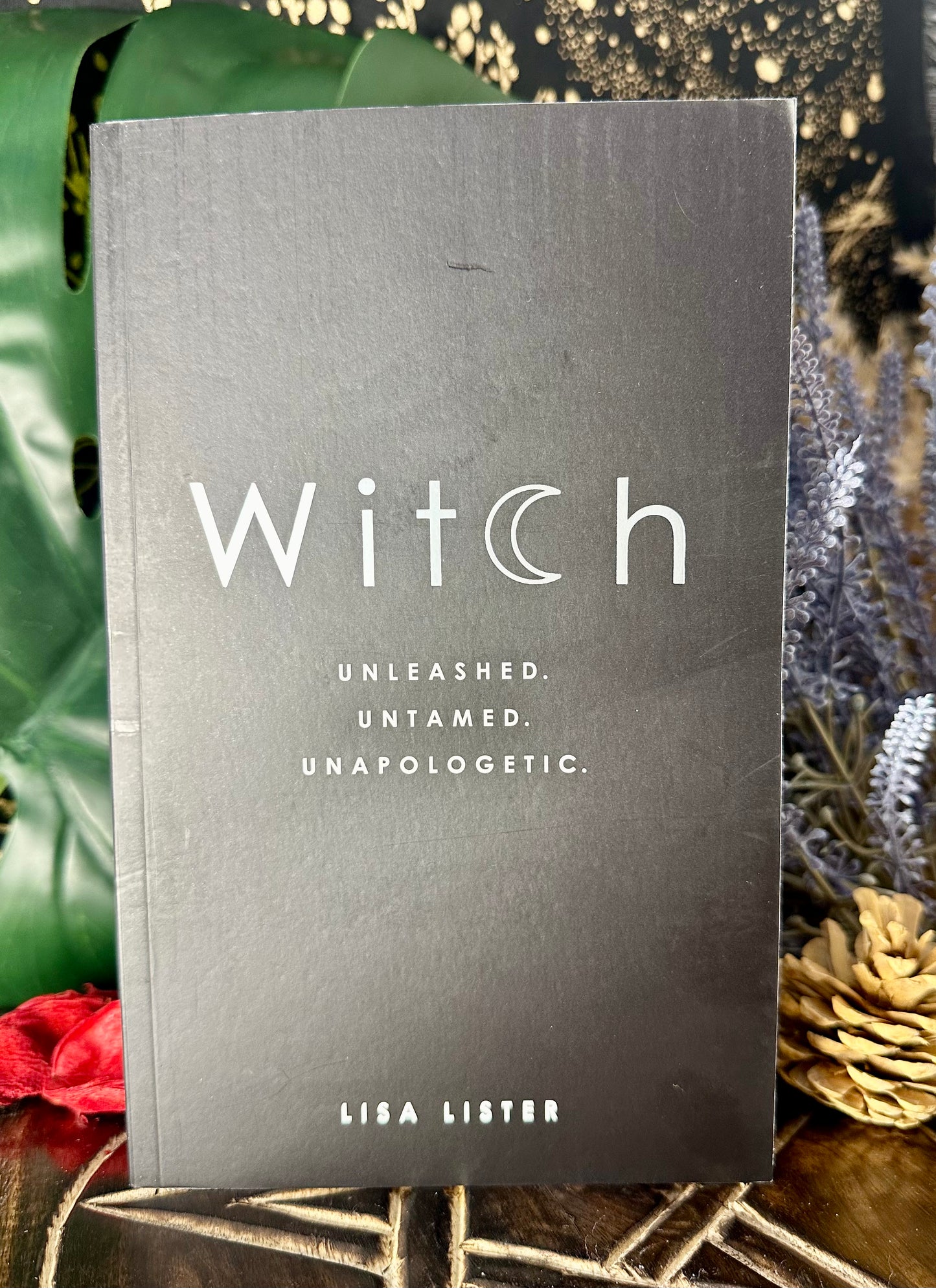 Witch By Lisa Lister