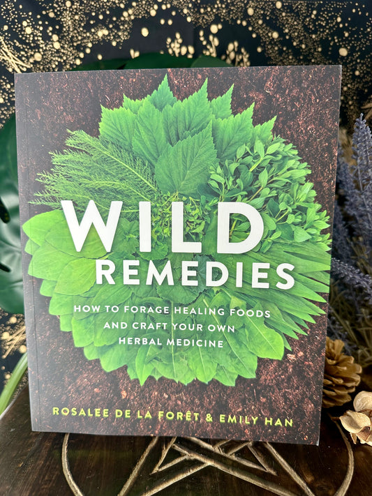 Wild Remedies By Rosalee De La Forêt & Emily Han