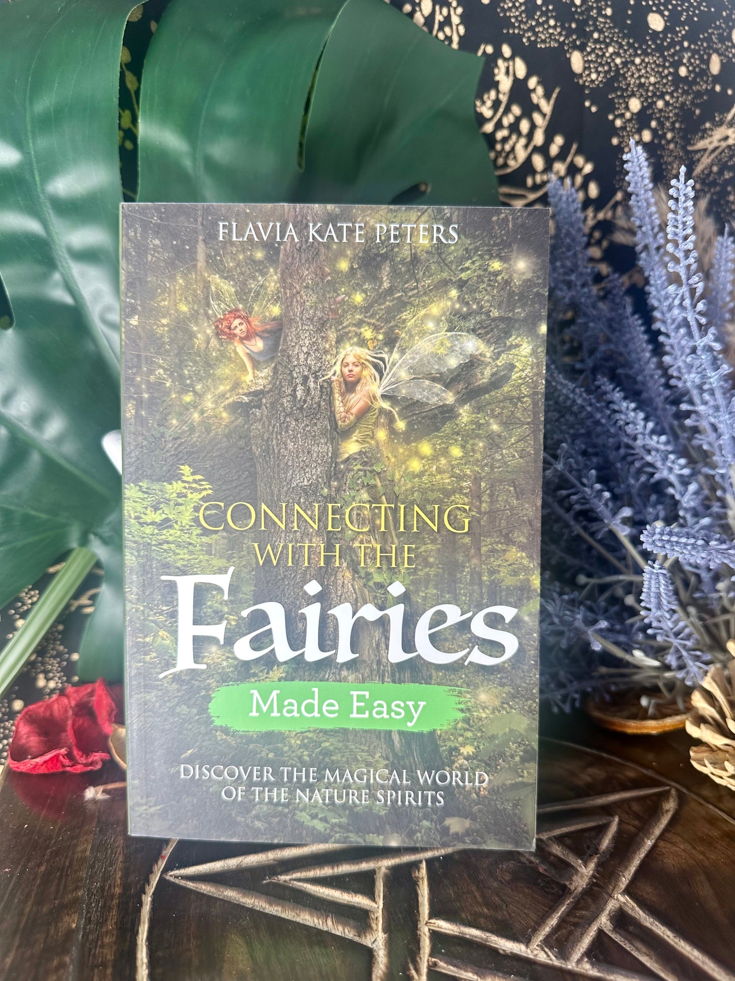 Connecting With The Fairies By Flavia Kate Peters