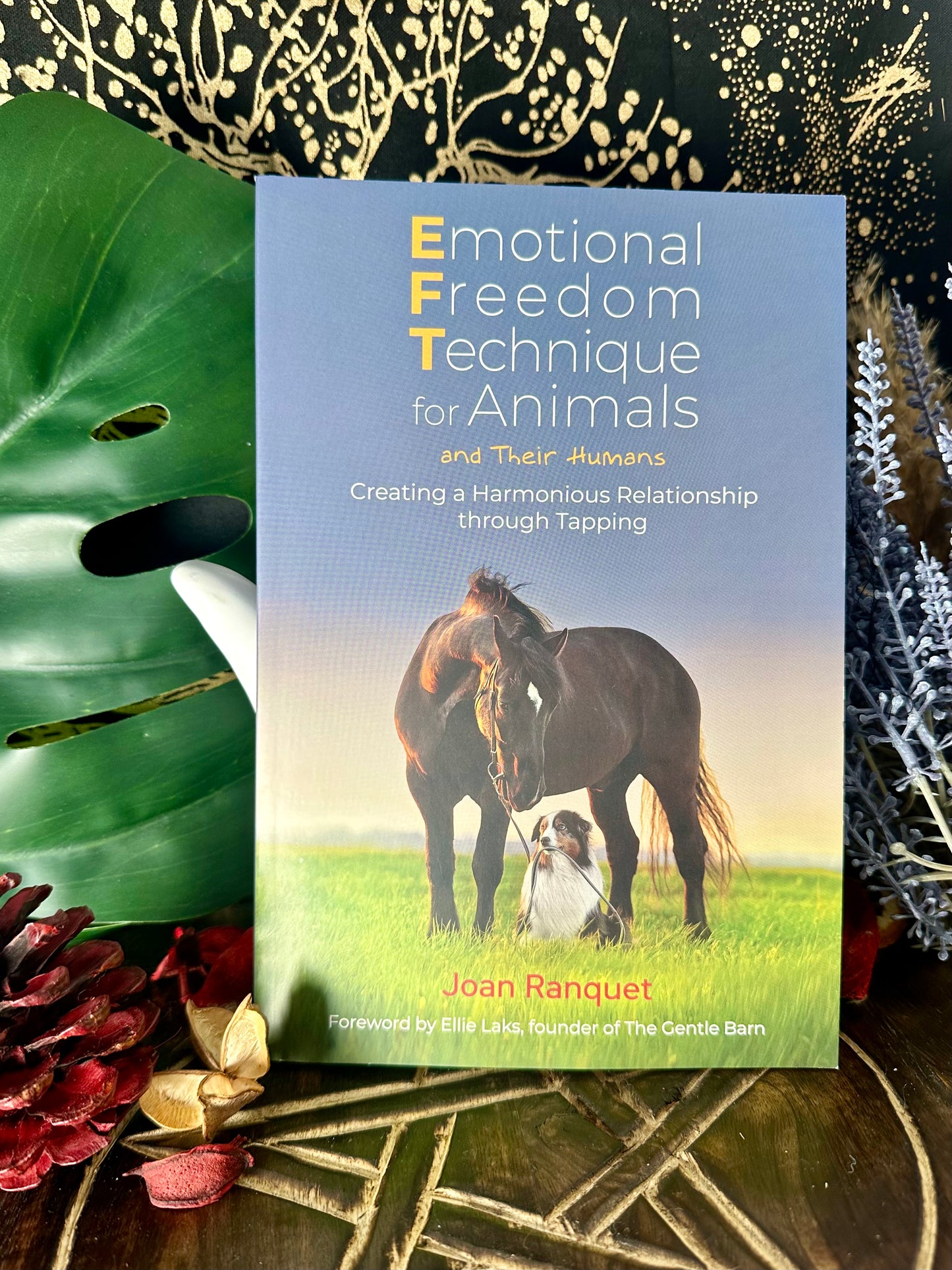 Emotional Freedom Techniques for Animals and Their Humans By Joan Ranquet